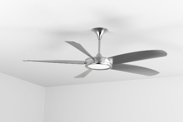 Ceiling Fans